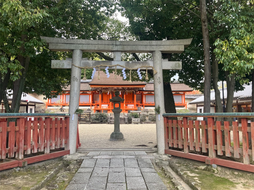 f:id:gjmd78:20250301114823j:image f:id:gjmd78:20250301114823j:image