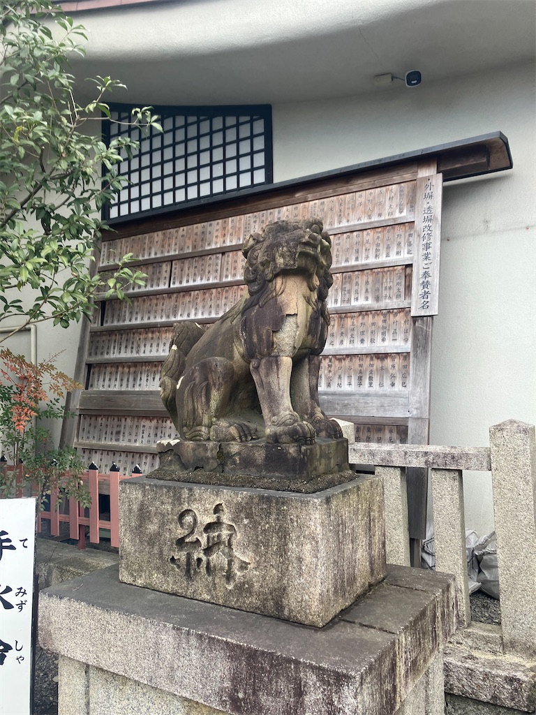 f:id:gjmd78:20250315132008j:image f:id:gjmd78:20250315132008j:image