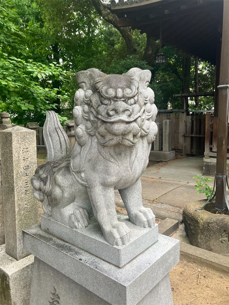 f:id:gjmd78:20250523120855j:image f:id:gjmd78:20250523120855j:image