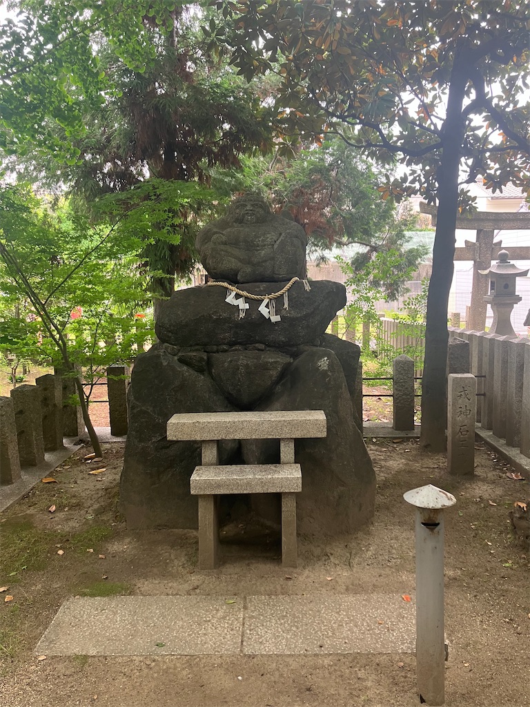 f:id:gjmd78:20250528073615j:image f:id:gjmd78:20250528073615j:image