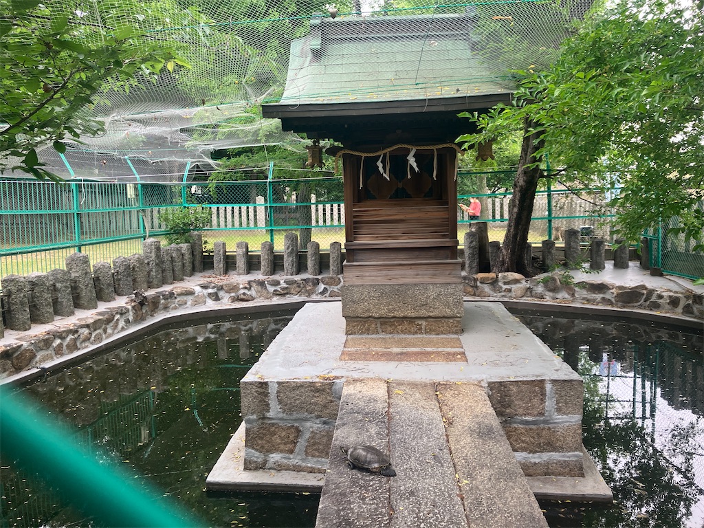 f:id:gjmd78:20250528073838j:image f:id:gjmd78:20250528073838j:image