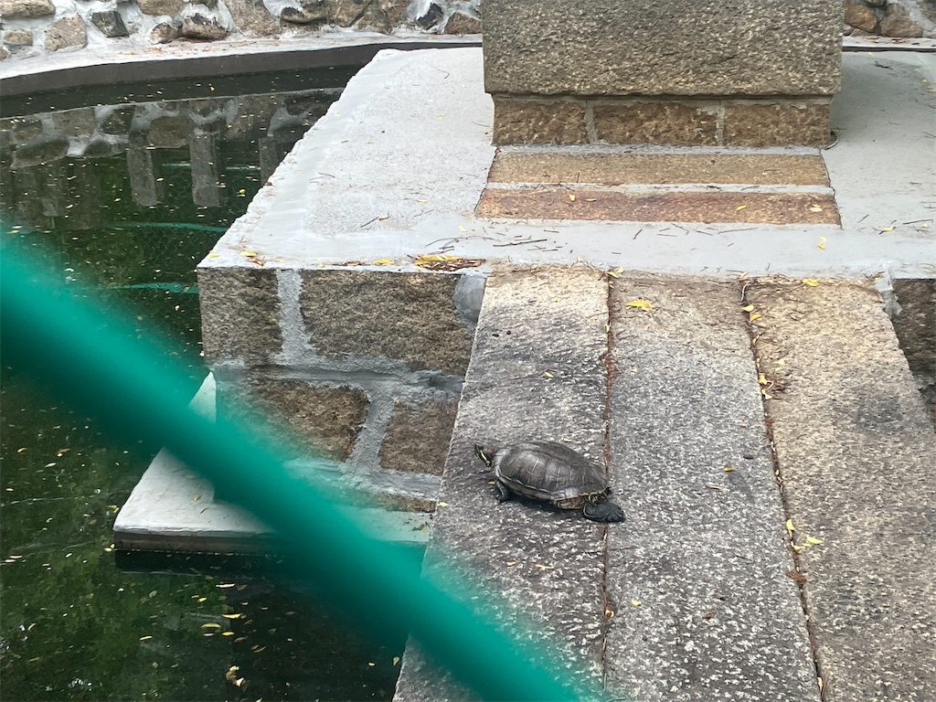 f:id:gjmd78:20250528073903j:image f:id:gjmd78:20250528073903j:image