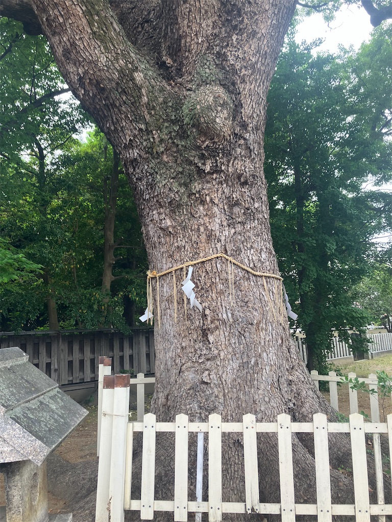 f:id:gjmd78:20250528073916j:image f:id:gjmd78:20250528073916j:image