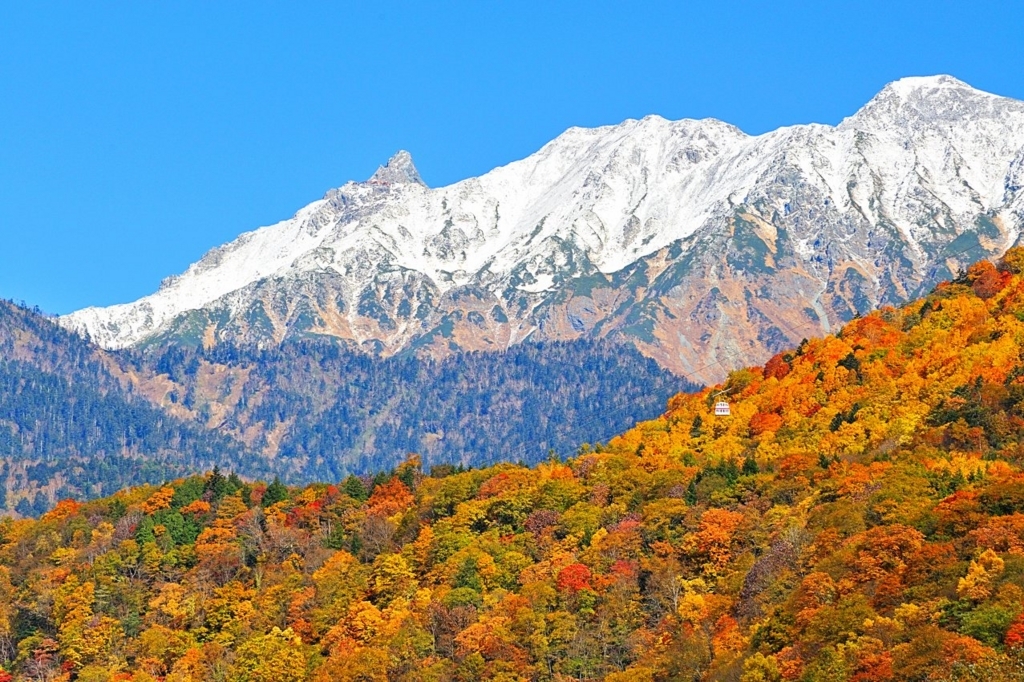 岐阜県の魅力っていったい何だろう。何だと思いますか? 勝手に岐阜県観光大使 岐阜県の魅力っていったい何だろう。何だと思いますか? 勝手に岐阜県観光大使