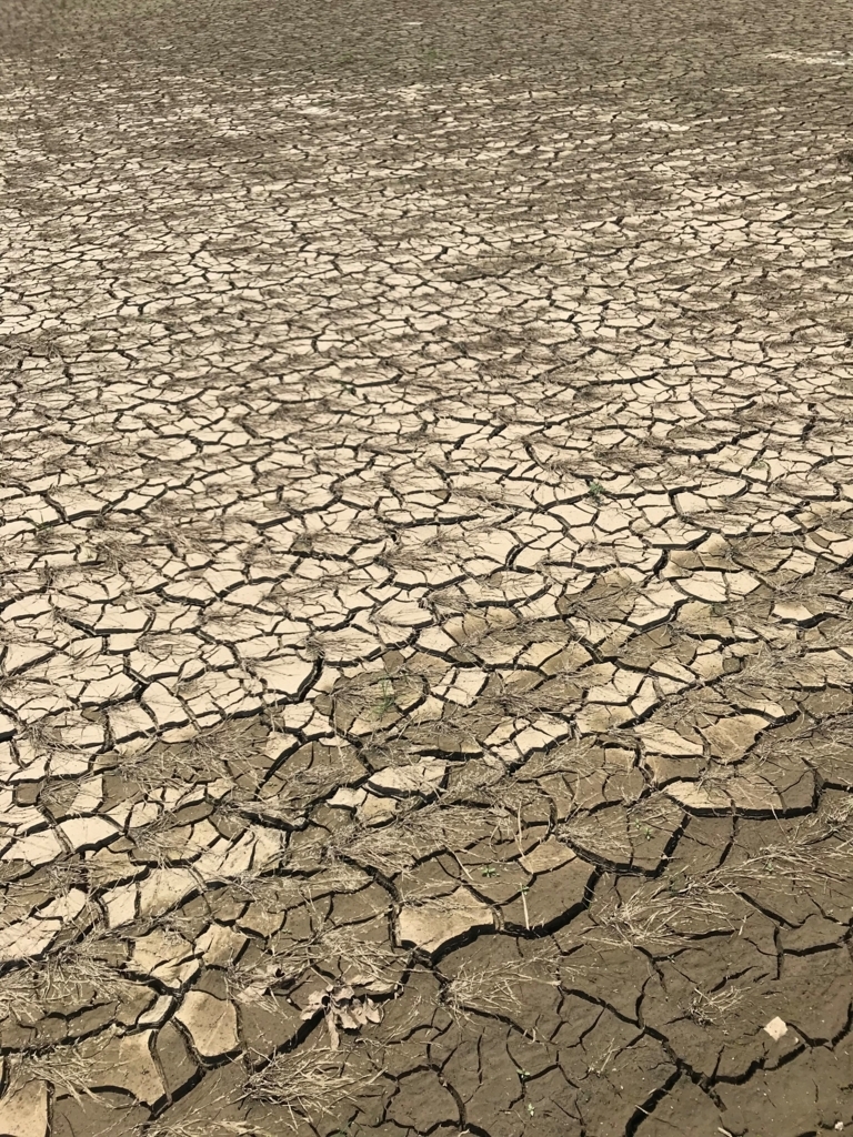 f:id:gk-murai33-gk:20180728170214j:plain