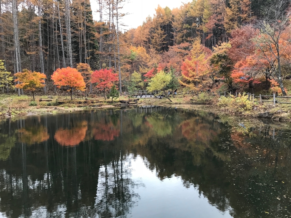 f:id:gk-murai33-gk:20180914143615j:plain f:id:gk-murai33-gk:20180914143615j:plain