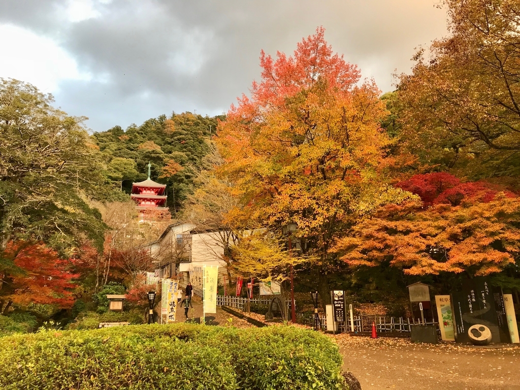 f:id:gk-murai33-gk:20180914144457j:plain f:id:gk-murai33-gk:20180914144457j:plain