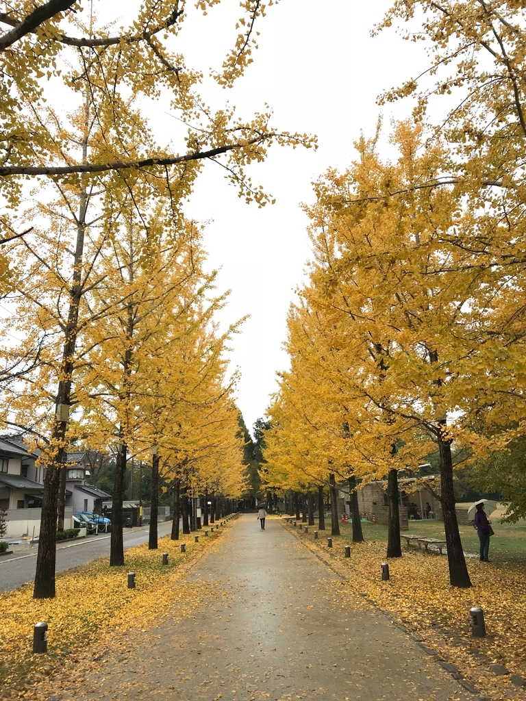 f:id:gk-murai33-gk:20180914144657j:plain f:id:gk-murai33-gk:20180914144657j:plain