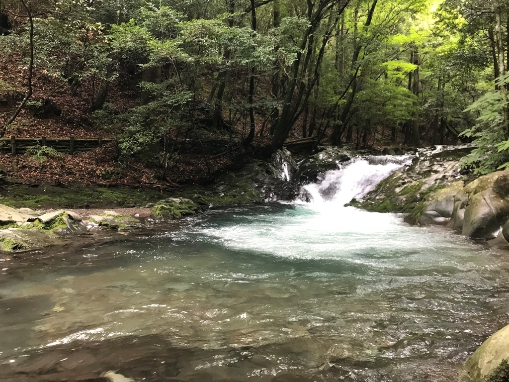f:id:gk-murai33-gk:20180926094951j:plain f:id:gk-murai33-gk:20180926094951j:plain