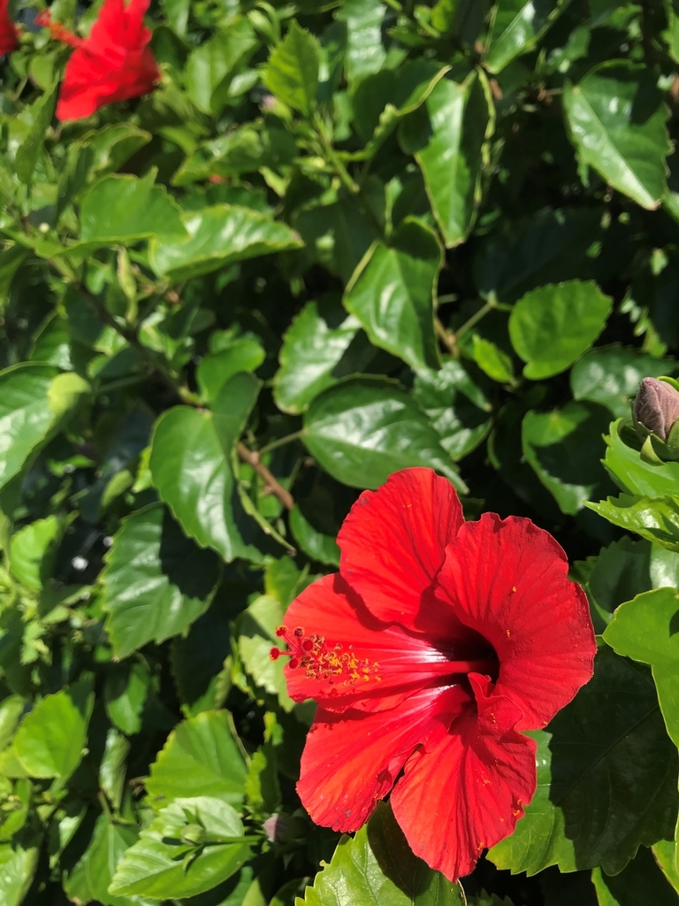 f:id:gk-murai33-gk:20180926221951j:plain