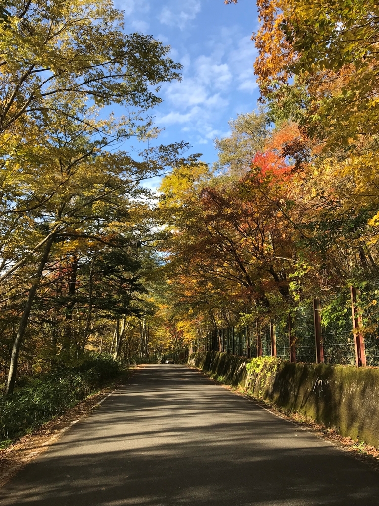 f:id:gk-murai33-gk:20181023184307j:plain