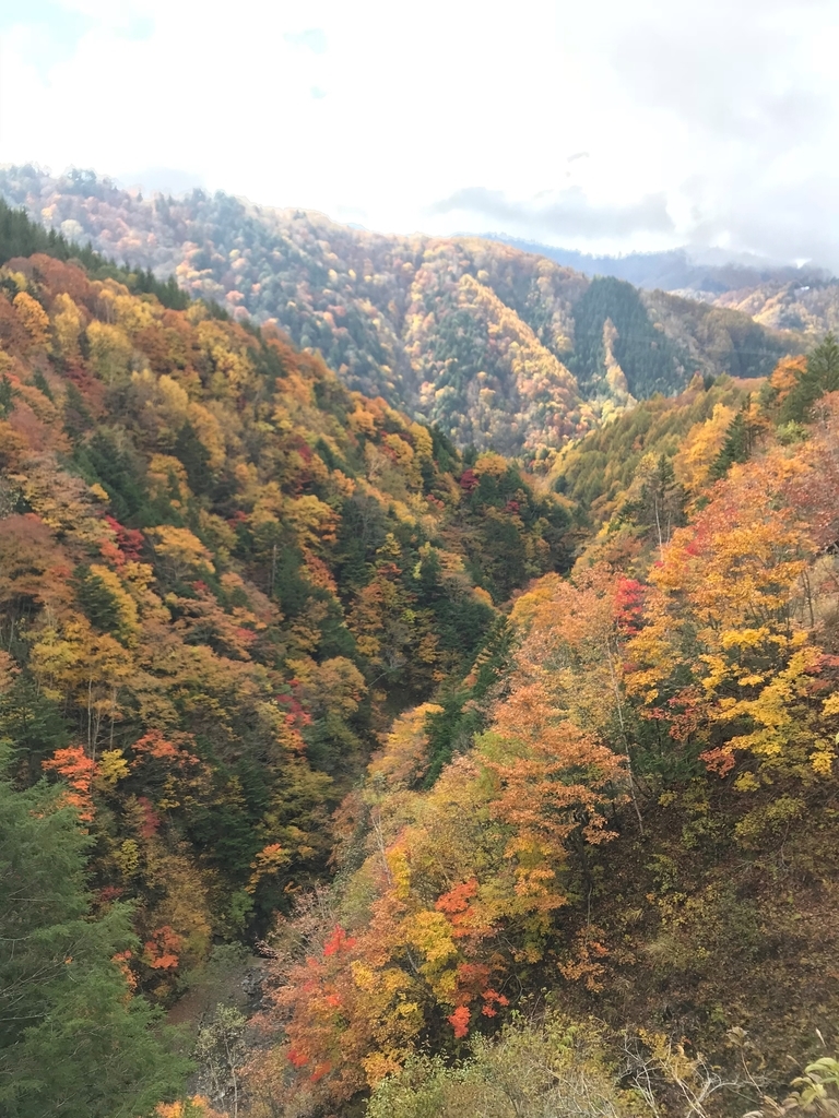 f:id:gk-murai33-gk:20181024174617j:plain