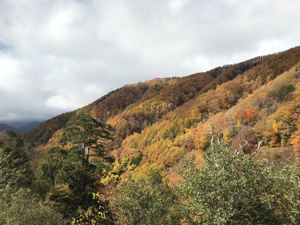 f:id:gk-murai33-gk:20181024174641j:plain