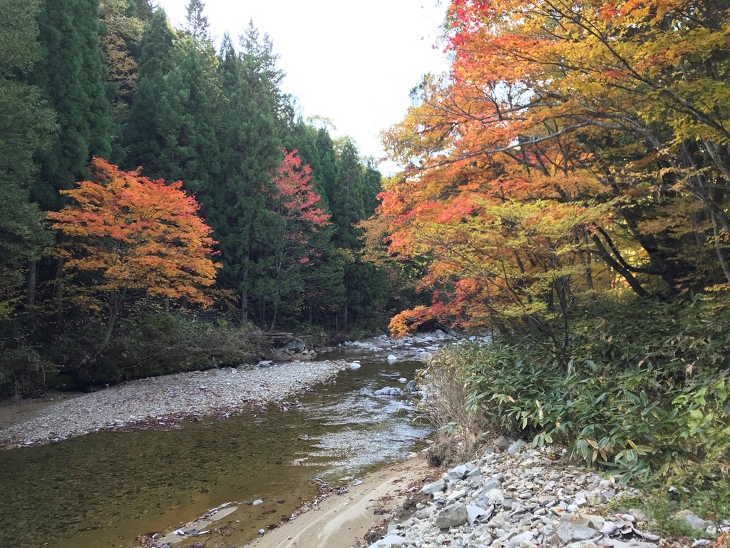 f:id:gk-murai33-gk:20181026152413j:plain