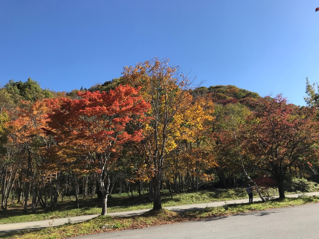 f:id:gk-murai33-gk:20181026152516j:plain