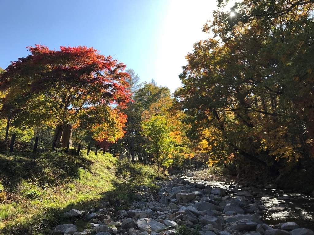 f:id:gk-murai33-gk:20181026152525j:plain