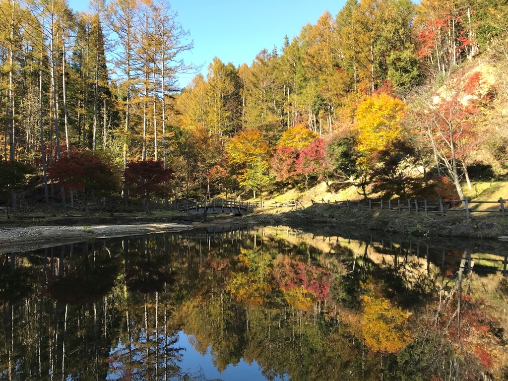 f:id:gk-murai33-gk:20181026152639j:plain