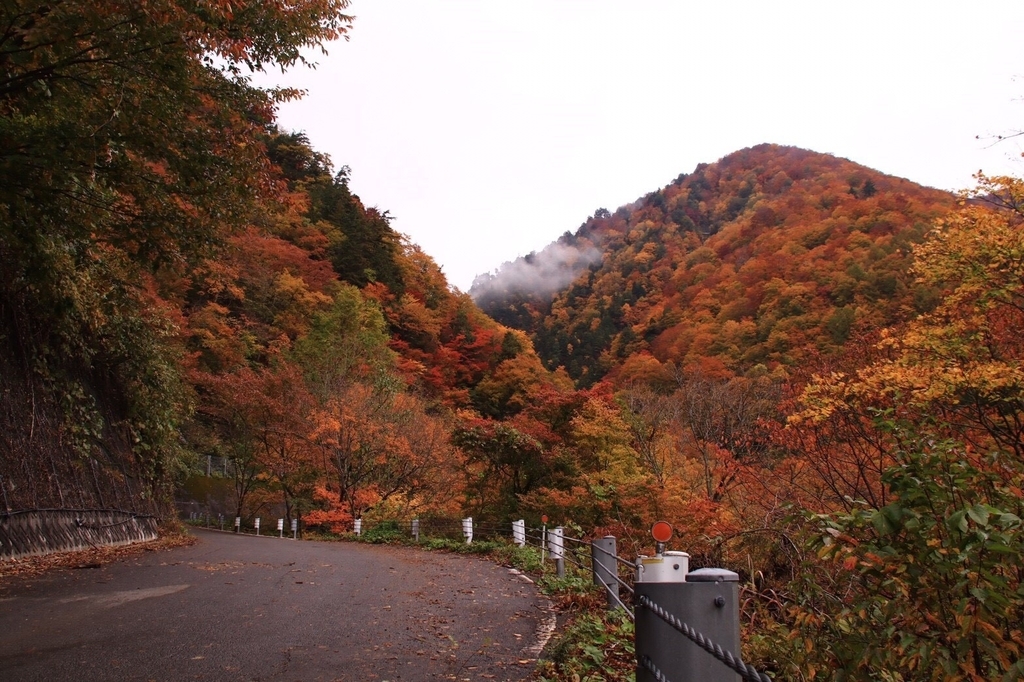 f:id:gk-murai33-gk:20181031091453j:plain f:id:gk-murai33-gk:20181031091453j:plain