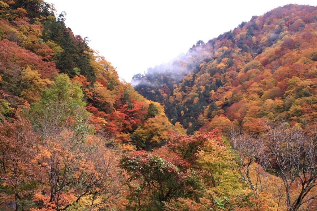 f:id:gk-murai33-gk:20181031091537j:plain f:id:gk-murai33-gk:20181031091537j:plain