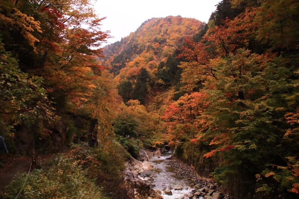 f:id:gk-murai33-gk:20181031093523j:plain f:id:gk-murai33-gk:20181031093523j:plain