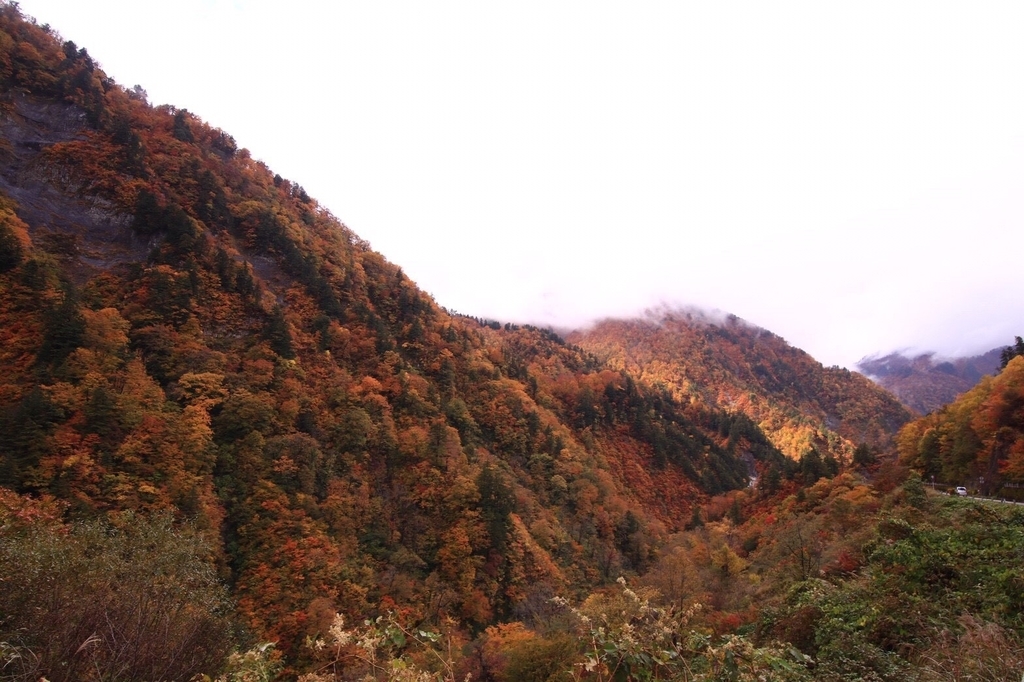 f:id:gk-murai33-gk:20181031093852j:plain f:id:gk-murai33-gk:20181031093852j:plain