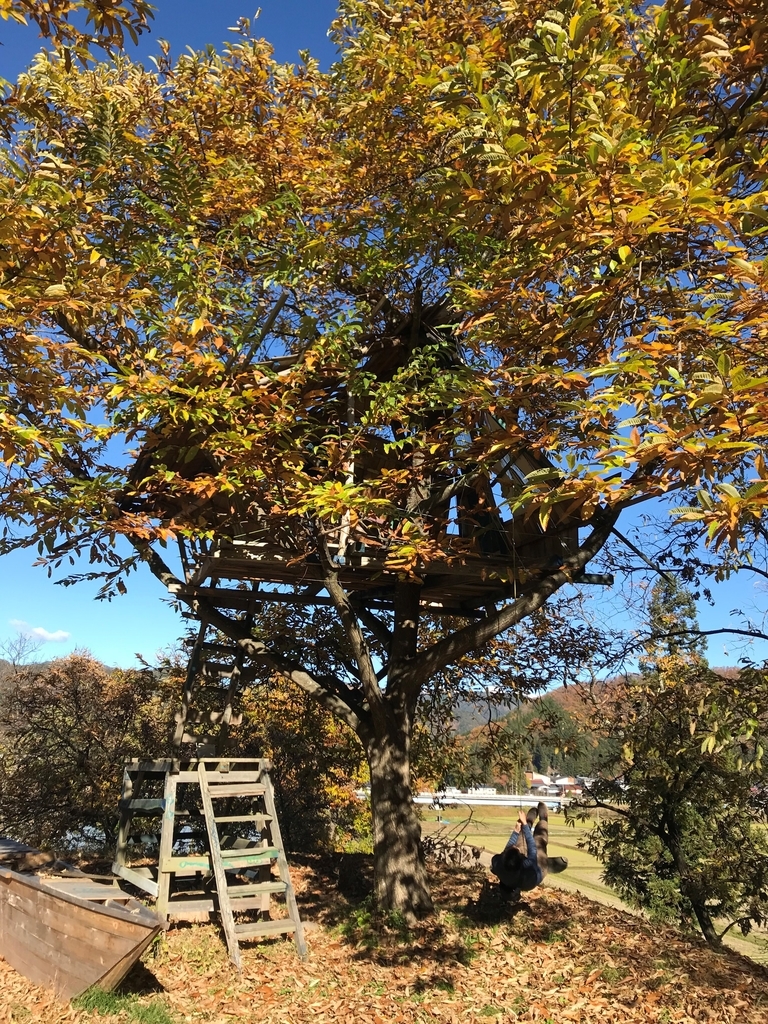 f:id:gk-murai33-gk:20181117132600j:plain f:id:gk-murai33-gk:20181117132600j:plain