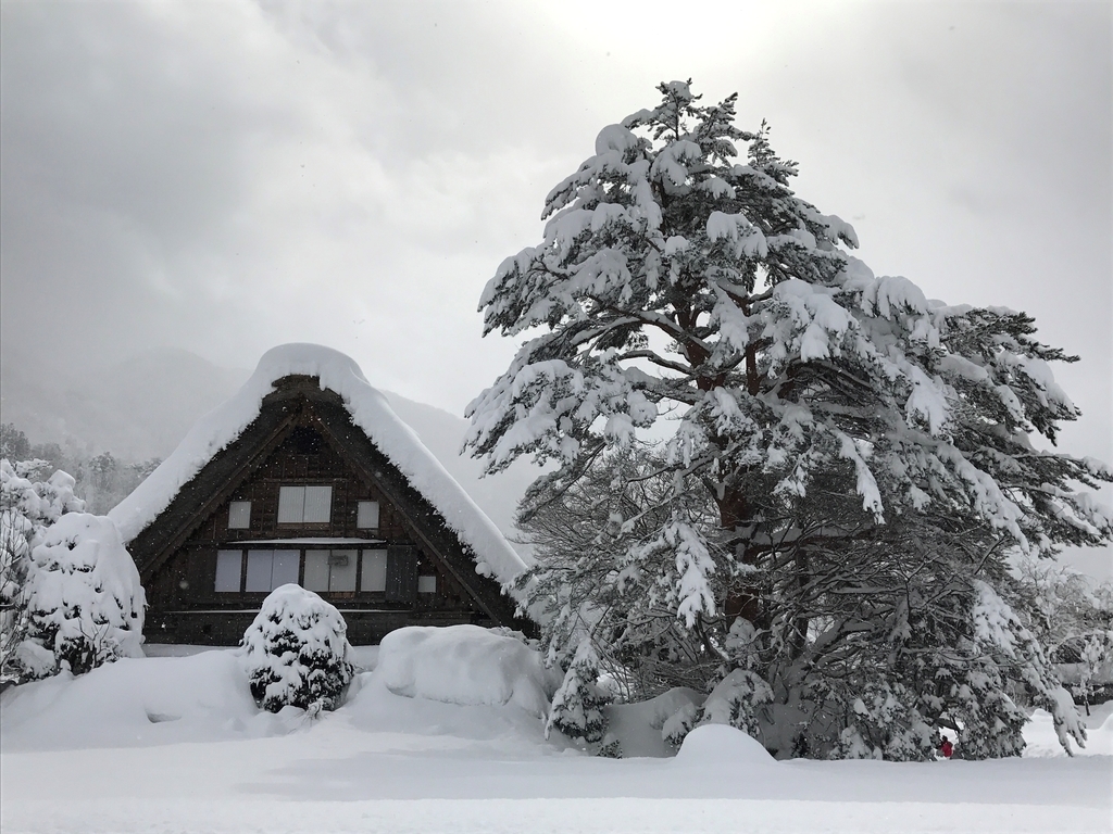 f:id:gk-murai33-gk:20190116203952j:plain