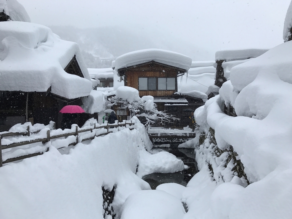 f:id:gk-murai33-gk:20190116204550j:plain