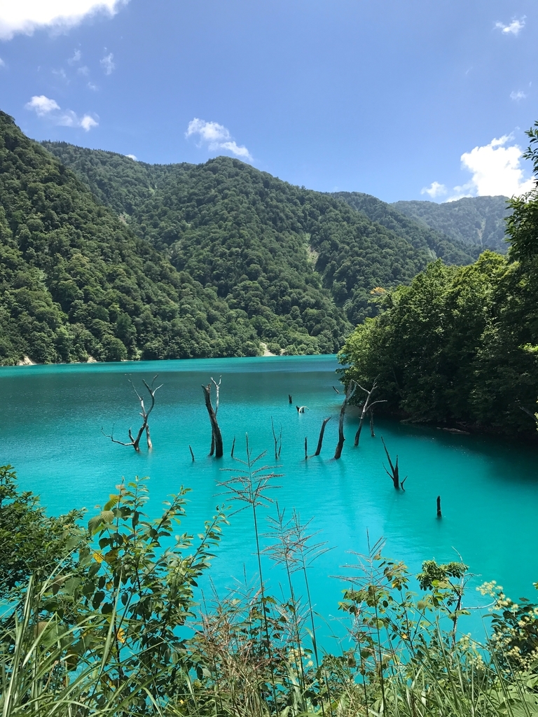 f:id:gk-murai33-gk:20190216144432j:plain