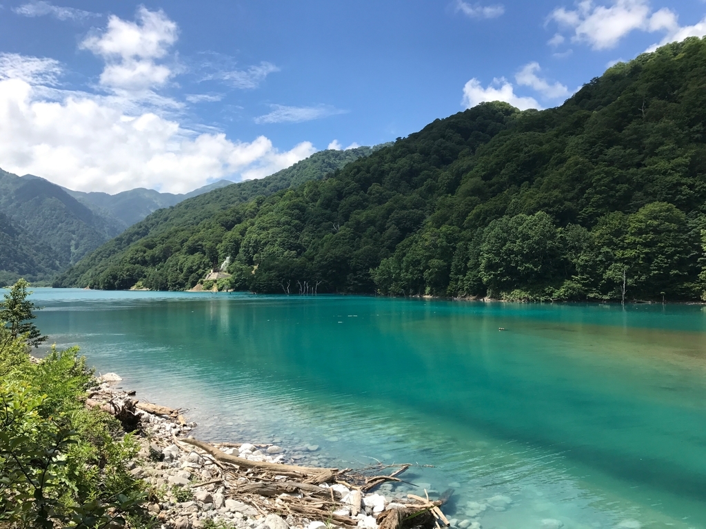 f:id:gk-murai33-gk:20190216144455j:plain