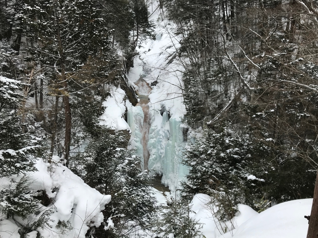 f:id:gk-murai33-gk:20190217200122j:plain