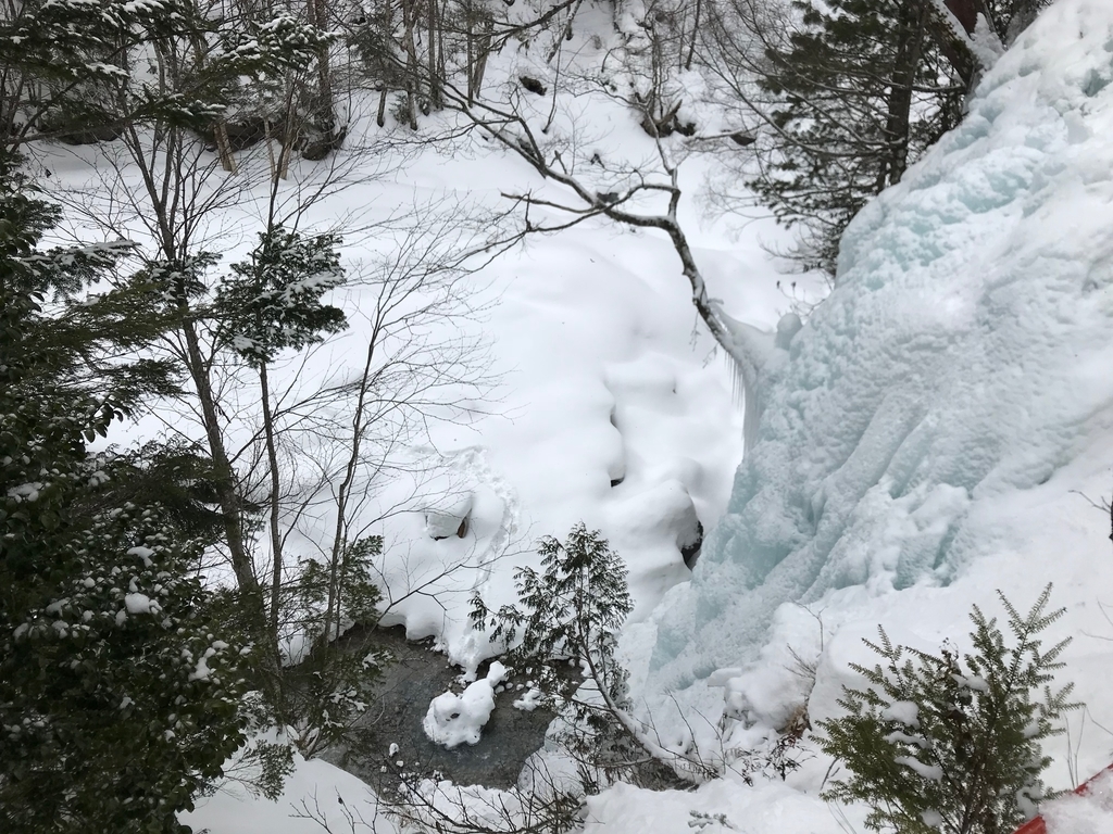 f:id:gk-murai33-gk:20190217200458j:plain