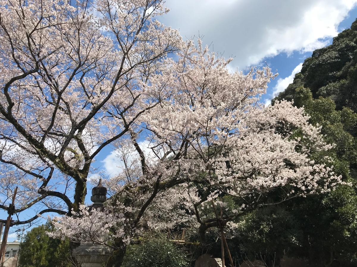 f:id:gk-murai33-gk:20190326141358j:plain