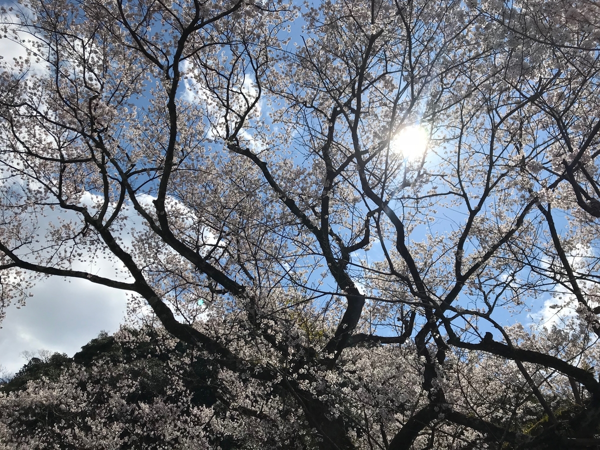 f:id:gk-murai33-gk:20190326141846j:plain