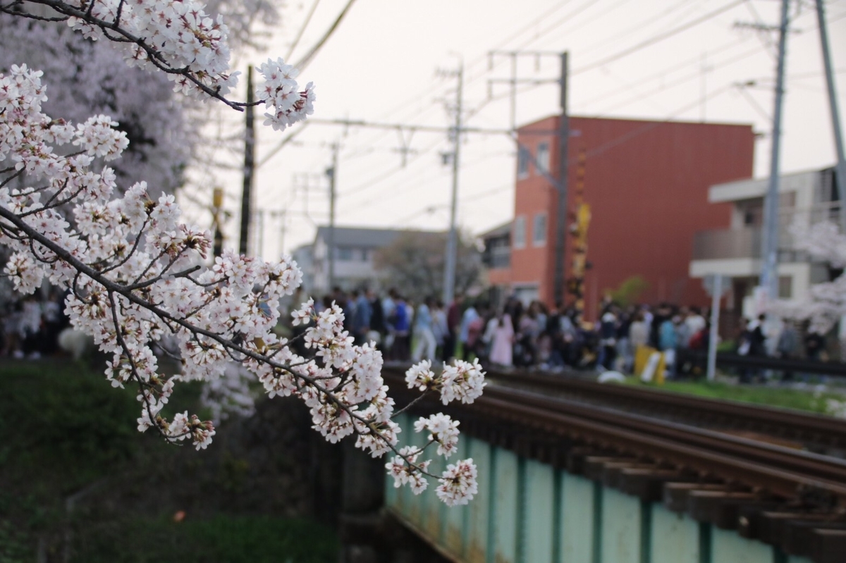 f:id:gk-murai33-gk:20190409152011j:plain