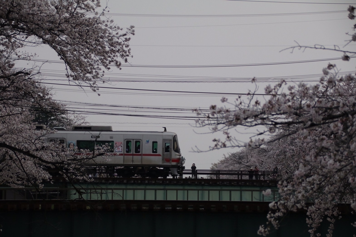 f:id:gk-murai33-gk:20190409152202j:plain
