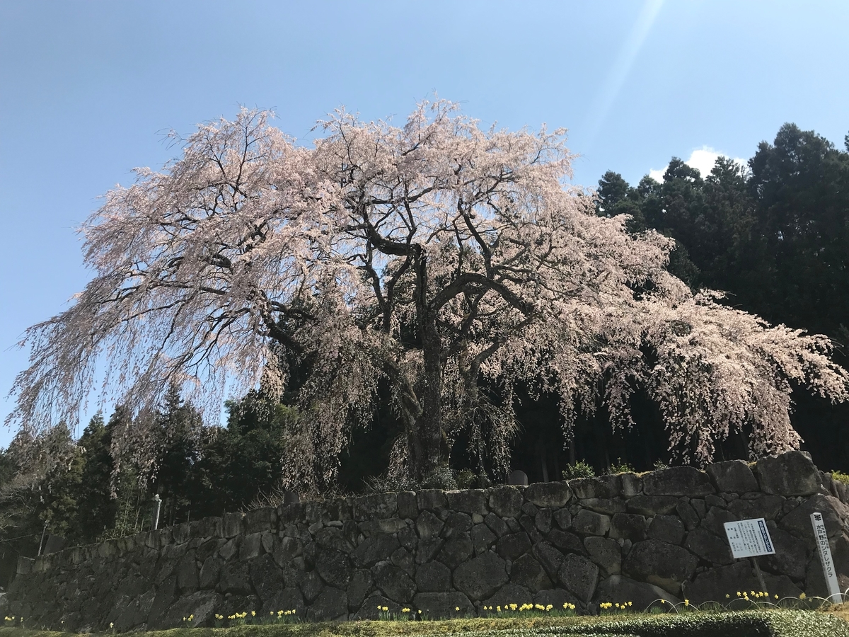 f:id:gk-murai33-gk:20190409173151j:plain f:id:gk-murai33-gk:20190409173151j:plain