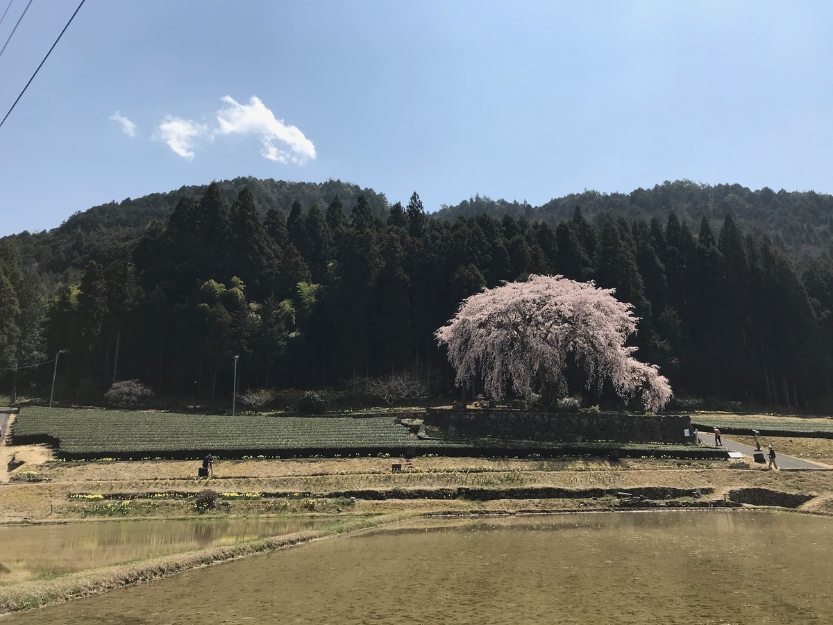 f:id:gk-murai33-gk:20190409173555j:plain f:id:gk-murai33-gk:20190409173555j:plain