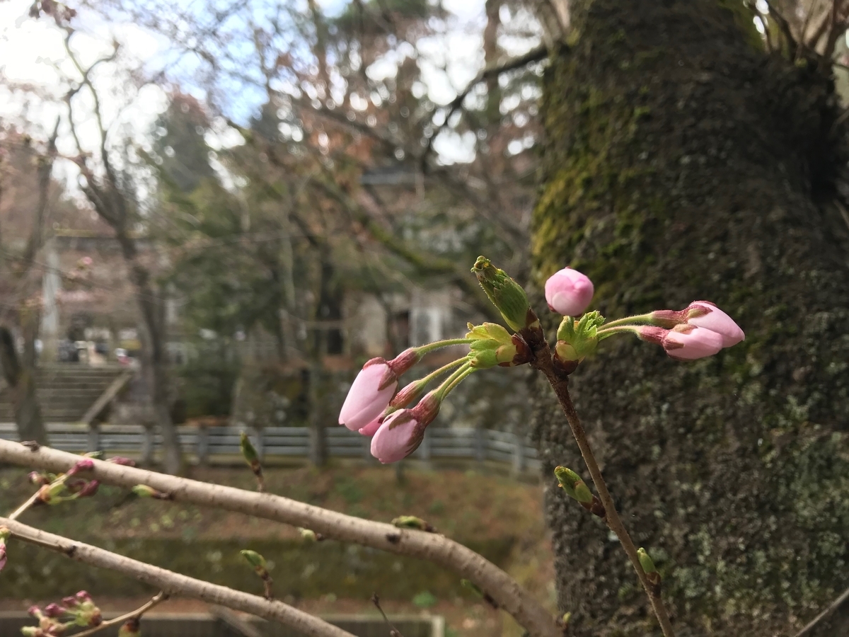f:id:gk-murai33-gk:20190418093657j:plain