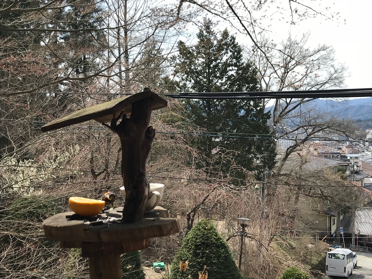 f:id:gk-murai33-gk:20190418173214j:plain