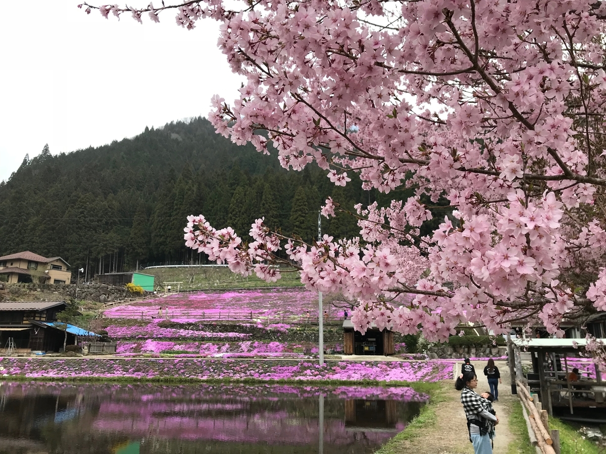 f:id:gk-murai33-gk:20190421180238j:plain