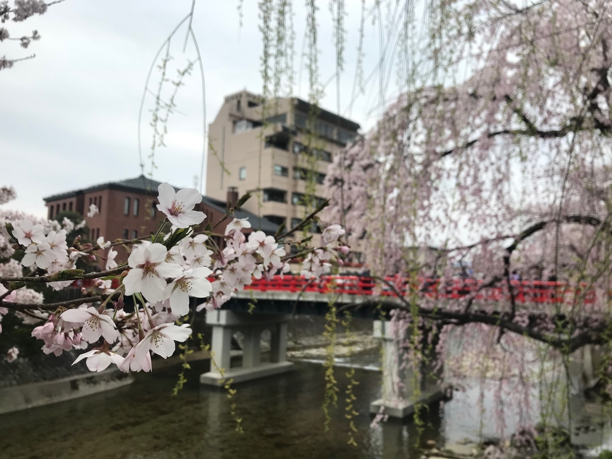 f:id:gk-murai33-gk:20190421185118j:plain