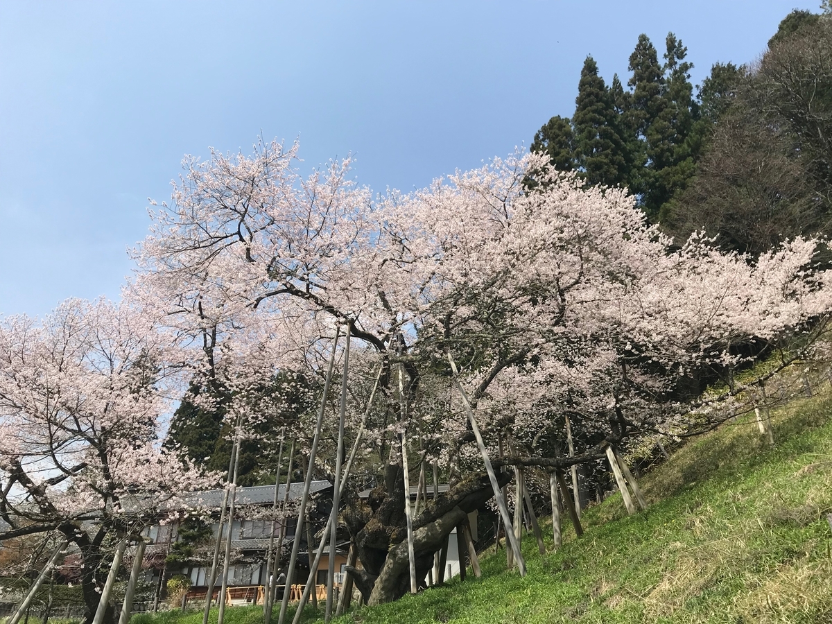 f:id:gk-murai33-gk:20190423175759j:plain