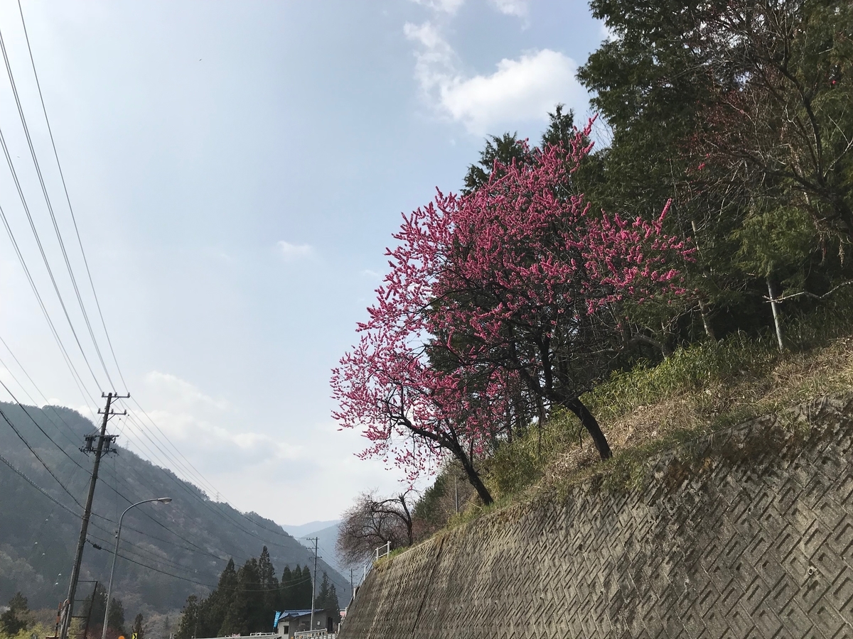 f:id:gk-murai33-gk:20190424144201j:plain