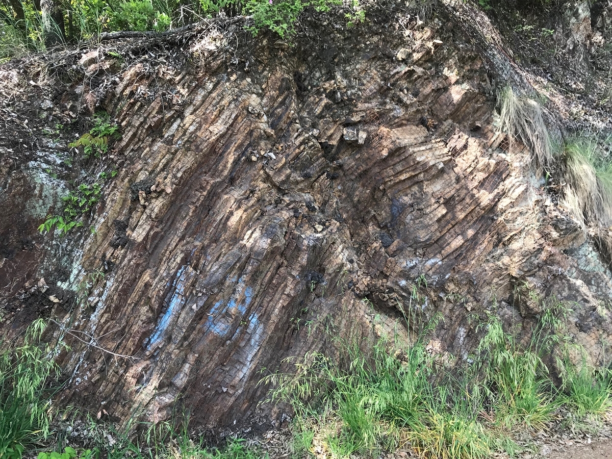 f:id:gk-murai33-gk:20190513153357j:plain