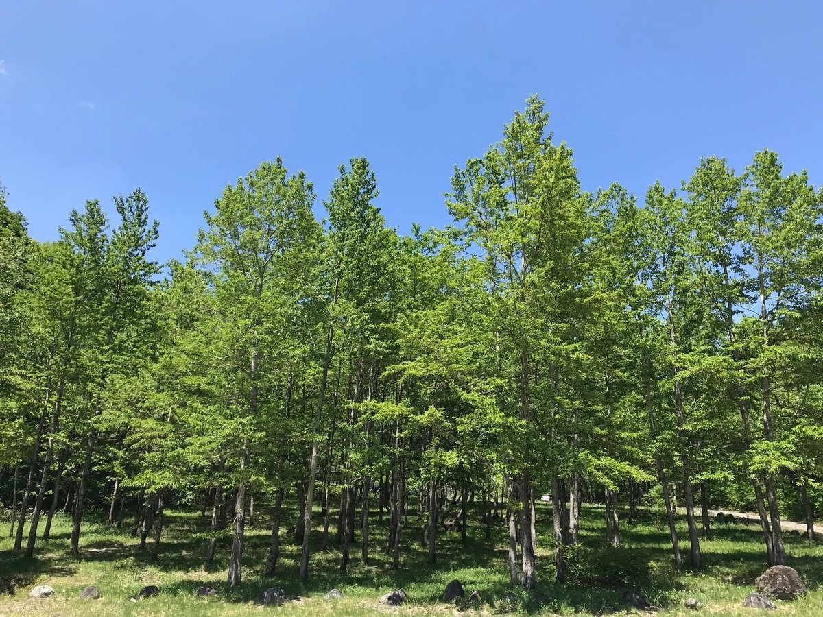 f:id:gk-murai33-gk:20190607174759j:plain