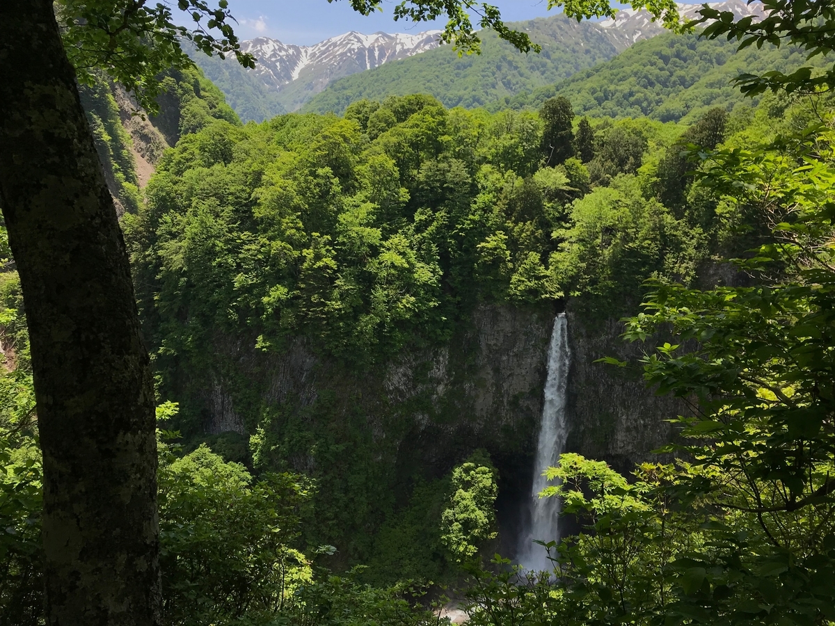 f:id:gk-murai33-gk:20190607174846j:plain