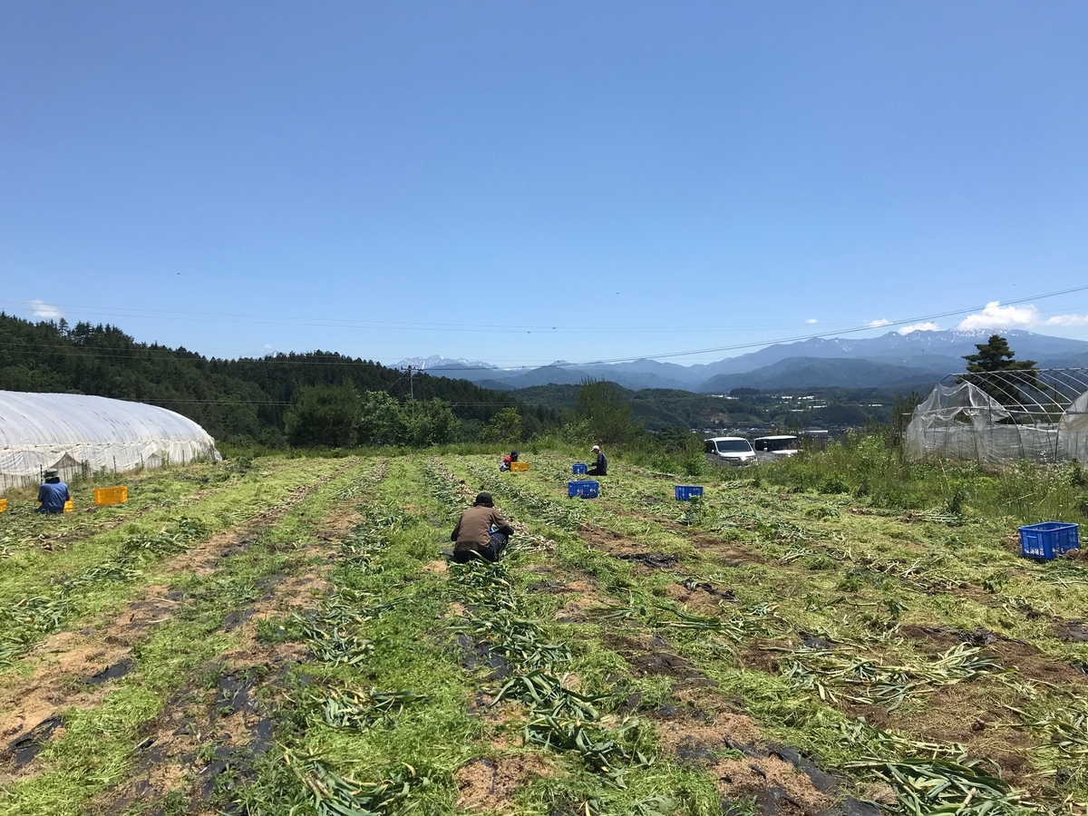 f:id:gk-murai33-gk:20190613145400j:plain