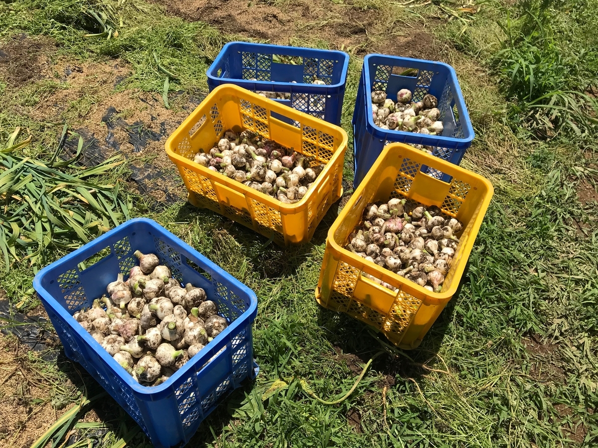 f:id:gk-murai33-gk:20190613145612j:plain