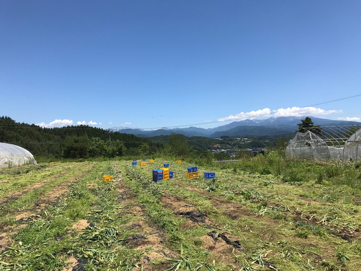 f:id:gk-murai33-gk:20190613145837j:plain